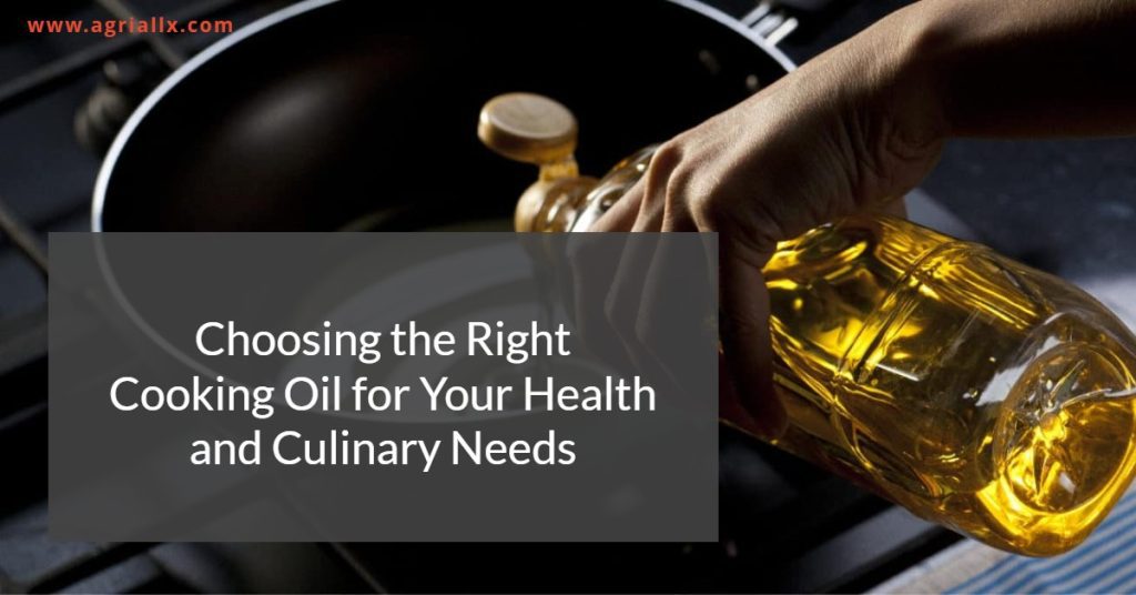 Understanding The Different Types Of Edible Oil A Comprehensive Guide   Types Of Edible Oil 1 1024x536 